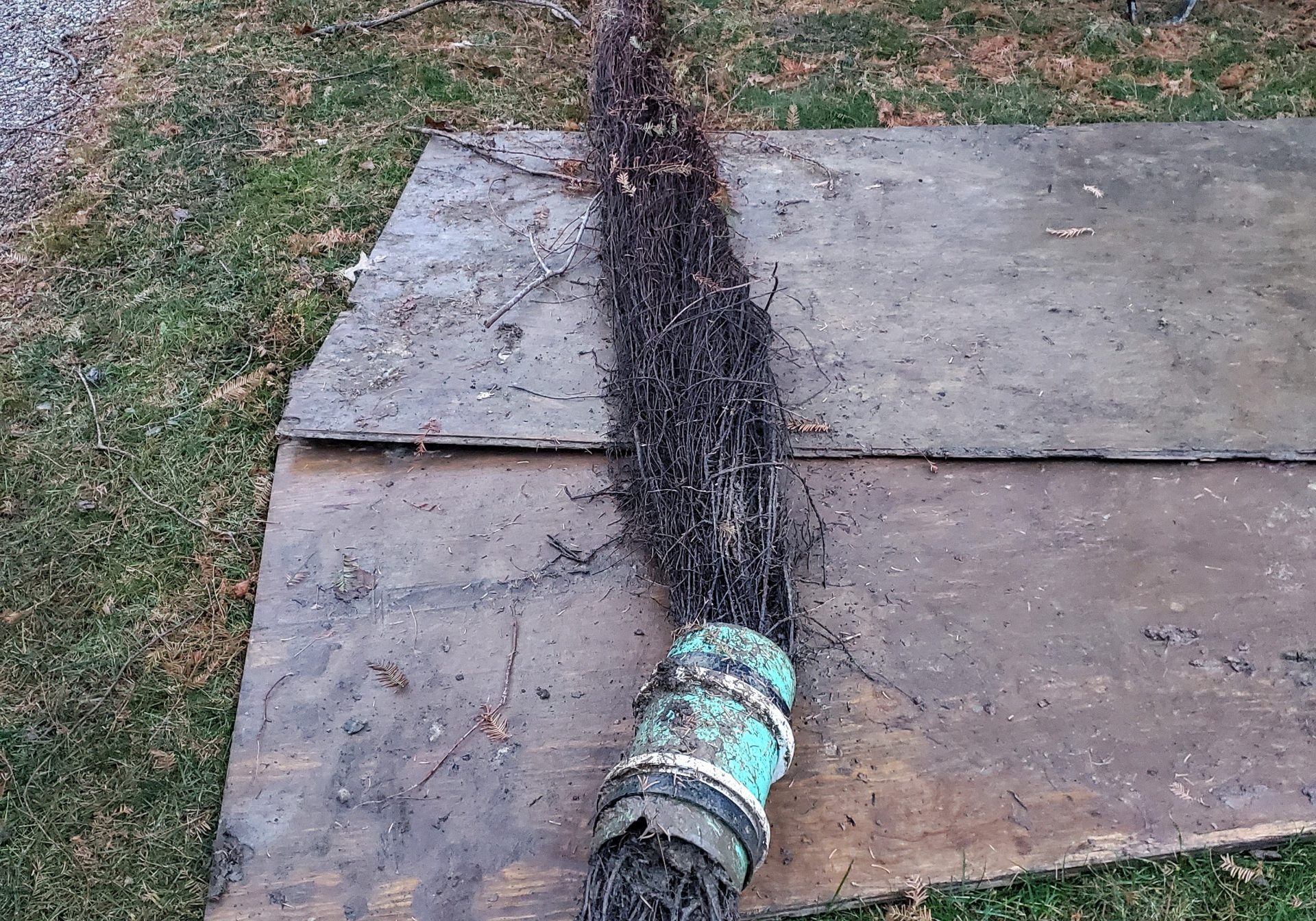 root root